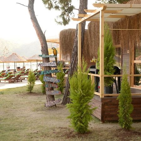 Green Pine Bungalows & Beach Luxury Concept أولدينيس المظهر الخارجي الصورة