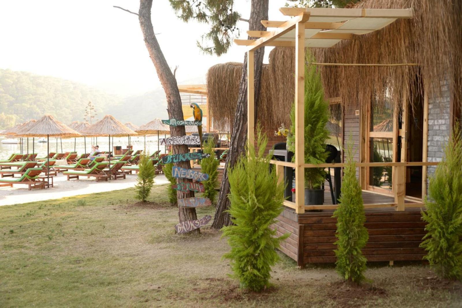 Green Pine Bungalows & Beach Luxury Concept أولدينيس المظهر الخارجي الصورة